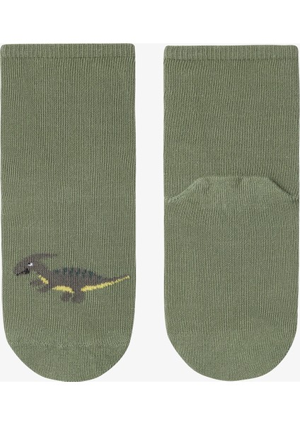 Çok Renkli Erkek Çocuk Green Dino 4lü Soket Çorap
