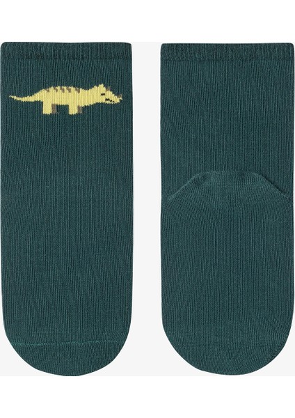 Çok Renkli Erkek Çocuk Green Dino 4lü Soket Çorap