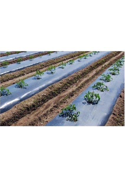 Sebze Naylonu 80 Metre Eni 120 cm Malç Naylonu Sebze Örtüsü Malç Örtüsü Siyah Domates Karpuz Naylonu fırsatları