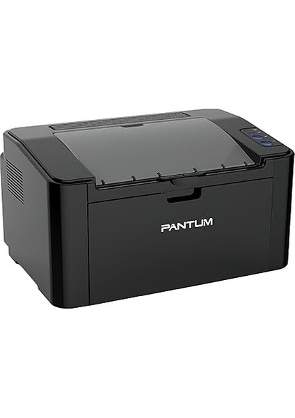 P2500W Wifi Mono Lazer Yazıcı modelleri