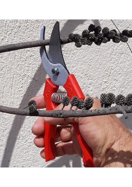 Bahçe Ağaç Dal Kesme Testeresi Ot Çalı Kesme Orak Budama Makası Seti fiyatları