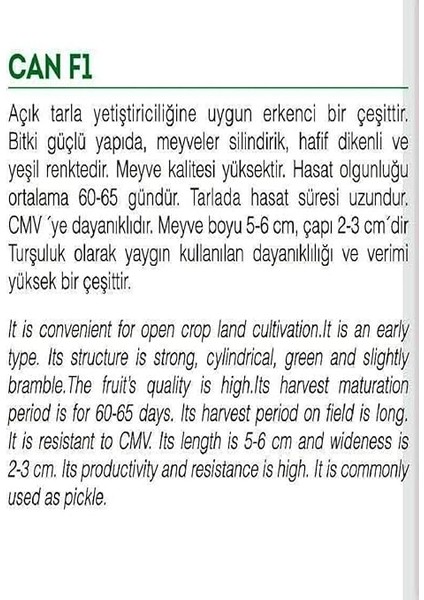 Tarım Hibrit Kornişon Tohumu Can F1 100 Adet Tohum fiyatları