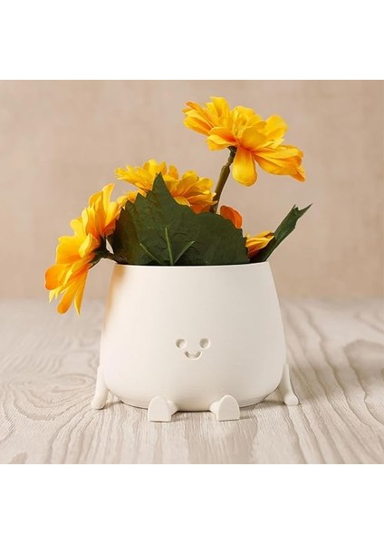Tombul Oturan Gülen Yüz Saksı Bioplastik Güler Yüzlü Sukulent Saksısı (Beyaz, Büyük) fırsatları