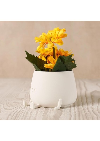 Tombul Oturan Gülen Yüz Saksı Bioplastik Güler Yüzlü Sukulent Saksısı (Beyaz, Büyük) indirimleri