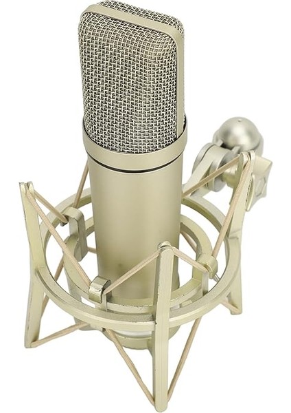 Için Mikrofon, Kardiyoid Kondenser Mikrofon modelleri