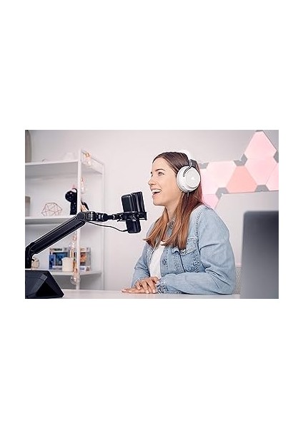 Wave Mikrofon Ses Filtresi (10MAD9901) modelleri