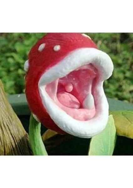 Look Ithal Sinek Kapan Bitki Çiçeği Tohumu Ekim Seti TH-DSHNLLKSET047 fiyatları