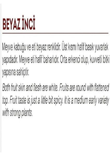 Tarım Yerli Doğal Turp Beyaz Inci 500 Adet Tohum fiyatları