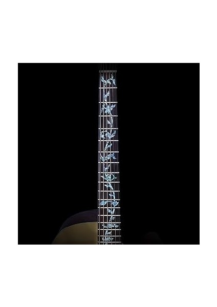 Electric Guitar Fretboard Marker Inlay Tree Of Life Sticker Decal(Colorful Shells) fırsatları