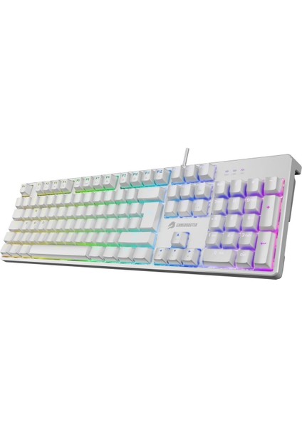 G24W Enigma Rainbow Aydınlatmalı Red Switch Mekanik Beyaz Oyun Klavyesi fiyatları