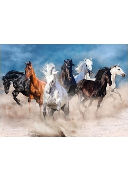 Focus Horses (Atlar) - Puzzle 1000 Parça fiyatları