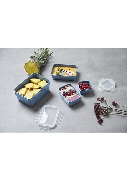 Masterseal Color 4'lü Saklama Kabı - Mavi fırsatları