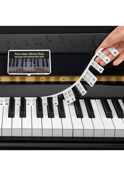 Yeni Başlayanlar Için Piyano Notaları Rehberi, Çıkarılabilir Piyano Klavye Not Etiketleri, 88 Tuşlu Tam Boy, Silikondan Yapılmıştır, Çıkartmaya Gerek Yoktur, Tekrar Kullanılabilir