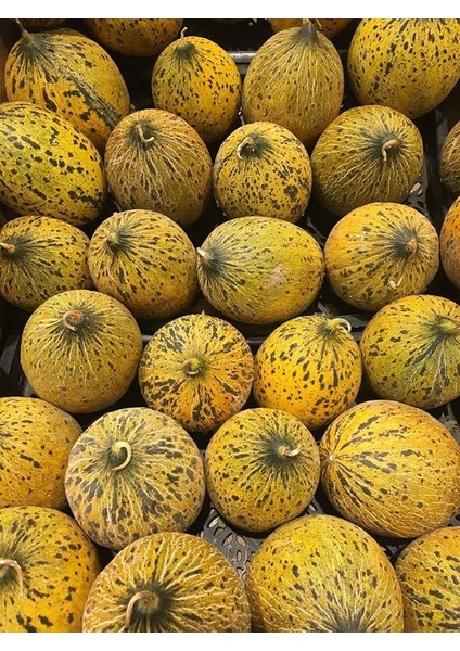 Garden Doğal Kışlık Kavun Kırkağaç (637) 100 Ad. Tohum