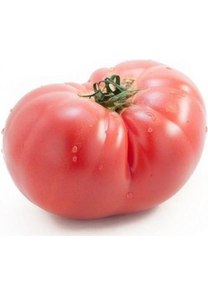 Dünyam Süper Paket 400 Adet Tohum Geleneksel Ankara Ayaş Domatesi Tohumu Domates Tohumu fiyatları