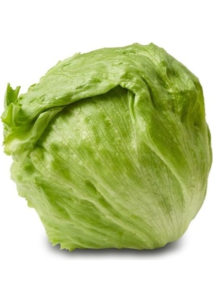 Look Iceberg Göbek Marul Tohumu / 20 Adet Tohum TH-THMCMTHM421 fırsatları