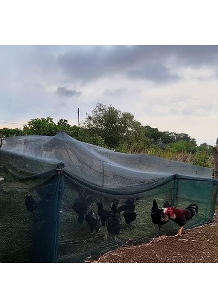 Gölgelik File -%40'lık Şeritli ve Halkalı - Yeşil File - Kümes Çevirme Filesi - 1 M x 1 M fiyatları