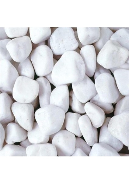 Beyaz Dolomit Taş 5 kg 2-4 cm Dere Çakıl Taşı Bahçe Süs Taşı Saksı Teraryum Taşı Akvaryum Taşı modelleri