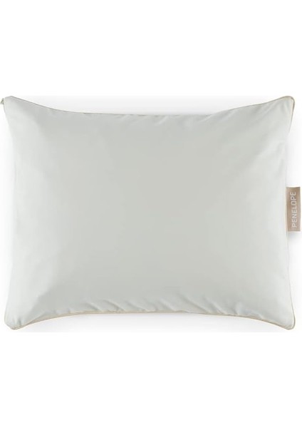 Pamuk Penye Sıvı Geçirmez Yastık Alezi 35 x 45 (2'li Pa Ket), Çok Renkli, Std