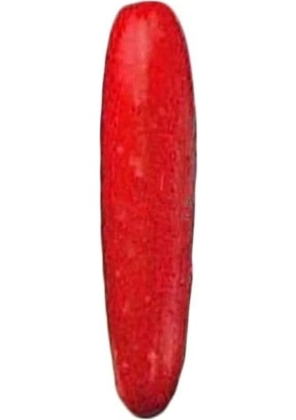 Ithal Kırmızı Salatalık Tohumu 10 Adet Tohum Red Cucumber
