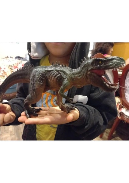 Store T-Rex Süper Gerçekçi Dinazor Trex Figür 30 cm Kapanıp Açılabilen Ağız Hediye Oyuncak Dinozor, Çok Renkli