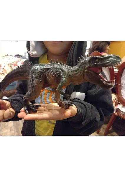 Store T-Rex Süper Gerçekçi Dinazor Trex Figür 30 cm Kapanıp Açılabilen Ağız Hediye Oyuncak Dinozor, Çok Renkli fiyatları