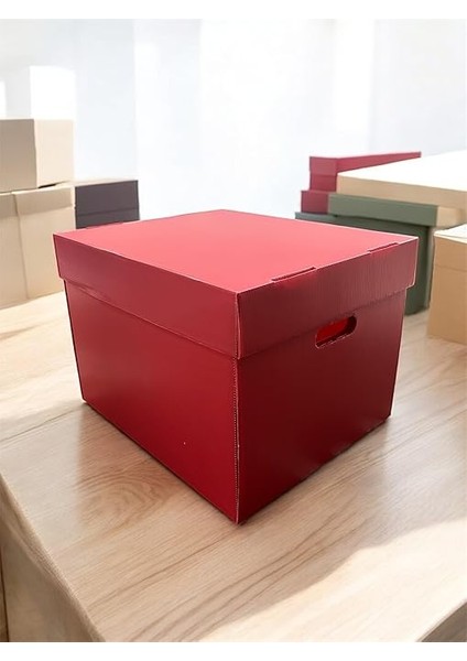 Kutusu 2 Adet Dekoratif Depolama Kutusu Oyuncak Kutusu Arşiv Depolama Organizer 2 Renk Kutu (Mavi-Kırmızı) fırsatları