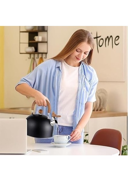 3l Düdüklü Kettle Su Isıtıcı Çaydanlık Paslanmaz Çelik Yüksek Islıklı Siyah fiyatları