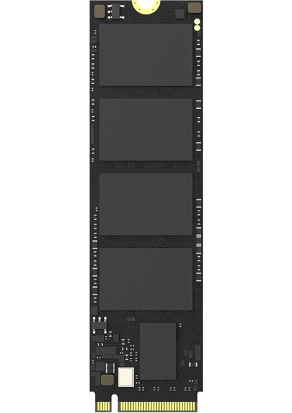 E3000 HS-SSD-E3000-512G 512GB 3500/1800MB/S Pcıe Nvme M.2 SSD Disk modelleri