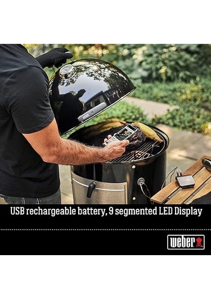 Çift Şiş Seti (30 cm Uzunluğunda), 8 Adet, Karides, Sebze Veya Et Sabitlemek Için Ideal, Izgara Yapılan Yiyecekleri Kolayca Çevirin, Bulaşık Makinesinde Yıkanabilir - Gümüş (6320) indirimleri