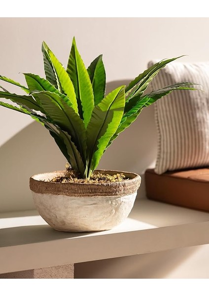 Coco Valerie Saksı - M fiyatları