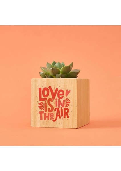 Motto Tasarımlı Aşk Hediye Kutusu modelleri