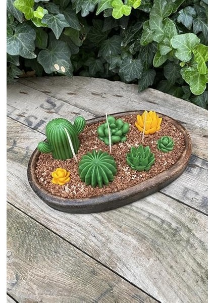 Concept Ball Kaktüs Mum Kalıbı (Silikon) modelleri