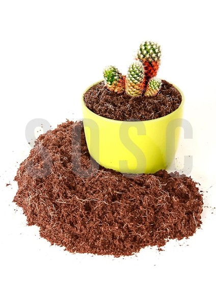 Cevizi TORFU%100 Doğal Torf - Cocopeat Hindistan Cevizi Lifi - Doğal Bitki Toprağı 1 Lt