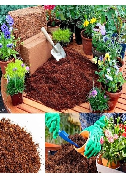 Cevizi TORFU%100 Doğal Torf - Cocopeat Hindistan Cevizi Lifi - Doğal Bitki Toprağı 1 Lt modelleri