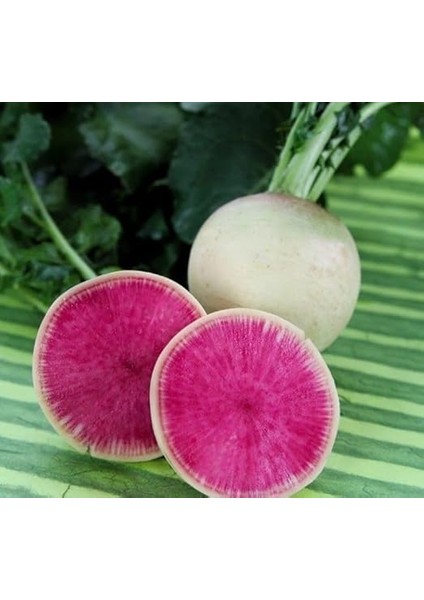 Kırmızı Beyaz (Çoklu Tohum) - 5 Gram fiyatları