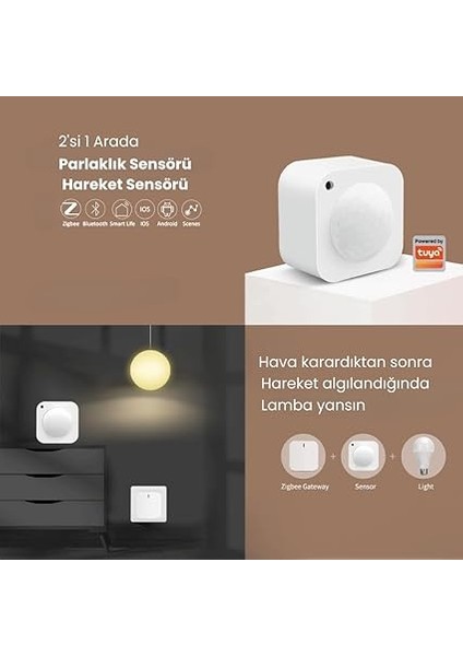 Zigbee Hareket ve Parlaklık Sensörü - Pil Hariç (Tuya, Smart Life, Home Assistant, ZIGBEE2MQTT Uyumlu) fiyatları