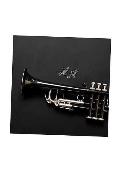 6 Adet Dayanıklı Paslanmaz Çelik Trompet Yayları Taşınabilir Trompet Aksesuarları ile Düğmesi Yedek Parçaları modelleri