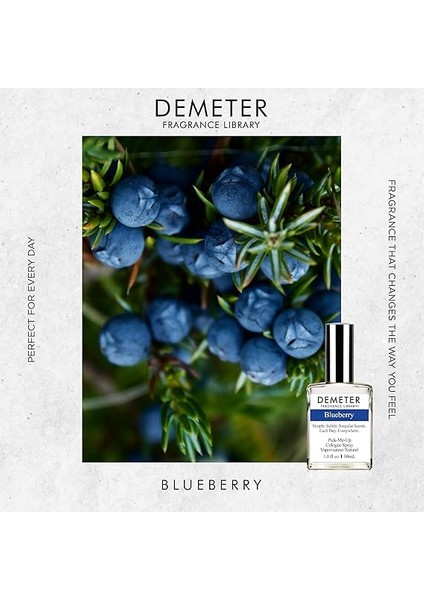 The Library Of Fragrance Blueberry 30ML Edc Parfüm Sprey modelleri