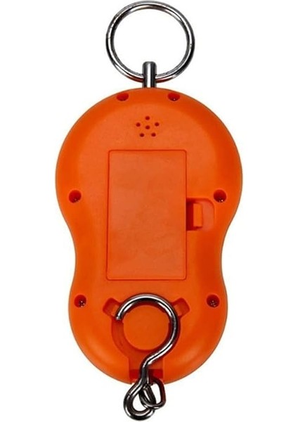 Dijital El Terazisi El Kantarı 50 kg Gülenyüz Hassas Mutfak Tartısı fiyatları