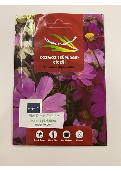 Kozmoz Çiçeği (Çoklu Tohum) - 50 Tohum - Karışık Renk modelleri