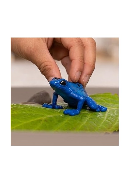 Zehirli Dart Kurbağası, Oyuncak Figür fiyatları