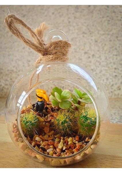 Lee ML1120 River Gravel Toprak Örtüsü, 2,3 Kg. fırsatları