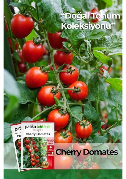 Adet Cherry Tipi Pinpon Domates Tohumu