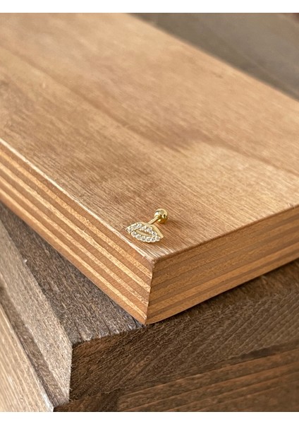 925 Ayar Gümüş Taşlı Dudak Modeli Kıkırdak Helix Tragus Piercingi Gümüş Piercing fiyatları