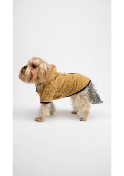 Köpek Kedi Ceket Teddy Welsoft modelleri