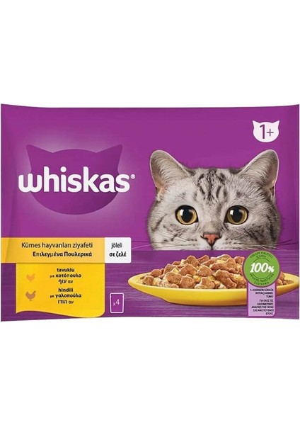 Tavuklu Hindili Pouch Kedi Yaş Mama (4X85GR) 5ADET Kümes Hayvanları Ziyafeti Kedi Konserve fiyatları