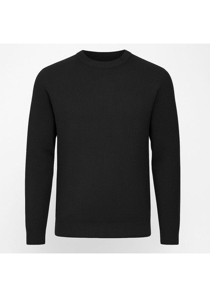 Slim Fit Bisiklet Yaka Uzun Kol Erkek Triko - 7426 fiyatları