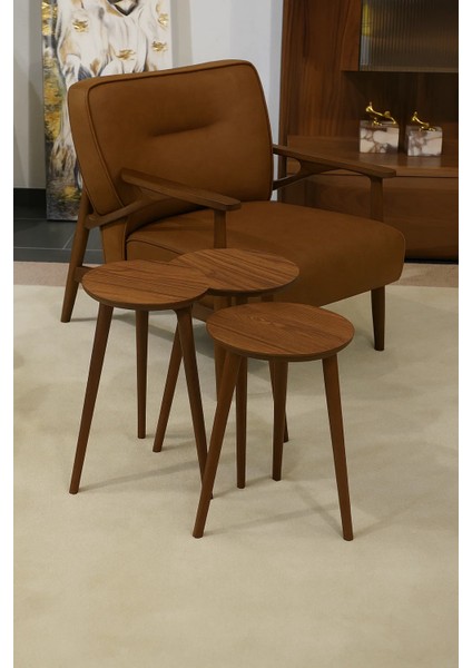 3'LÜ ZİGON SEHPA %100 MDF CEVİZ RENGİ MADRİD MODEL SEHPA modelleri