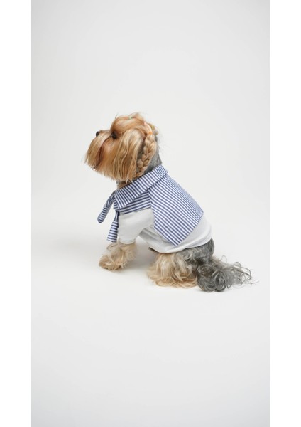 Köpek Kedi T-Shirt Old Money fiyatları